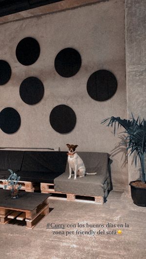  at Chana Plant Based in Medellin