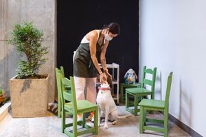  at Chana Plant Based in Medellin