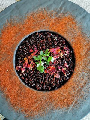 Riso Nerone con crema di miso limone zenzero at Al Tiglio Cucina Naturale in Moruzzo