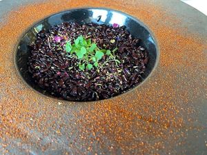 Black rice with a ginger lemon cream on the bottom 🍋 at Al Tiglio Cucina Naturale in Moruzzo