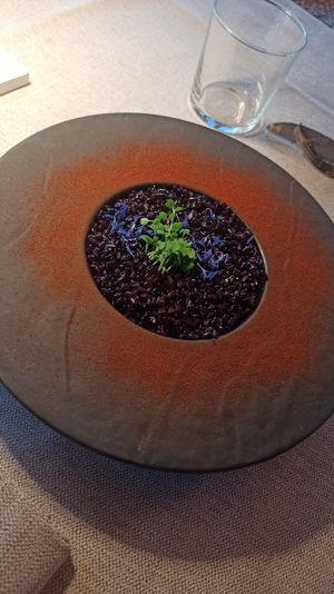  at Al Tiglio Cucina Naturale in Moruzzo