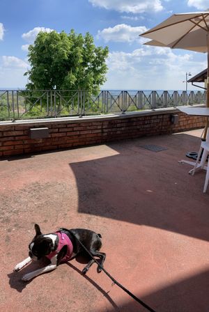   at Al Tiglio Cucina Naturale in Moruzzo