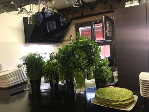 Here everything is fresh, green, healthy and delicious  at Mariposa in Nuremberg