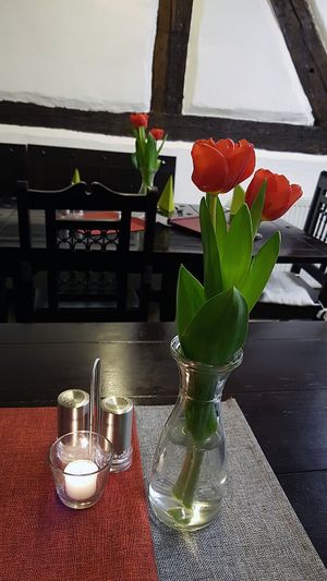 Interior of location - seating at Mariposa in Nuremberg