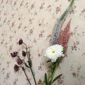 inside at Geh Veg in Berlin