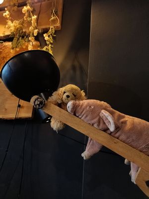 Interior decoratotion at Geh Veg in Berlin