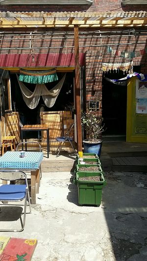 yard at The 2nd Rogpa Shop & Cafe in Seoul