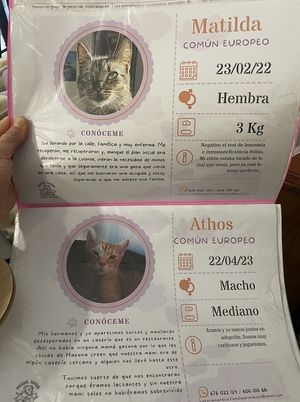   at Bohemian Lane in Bilbao