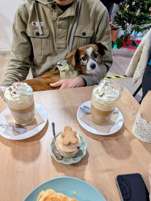   at Bohemian Lane in Bilbao