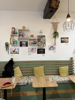   at Bohemian Lane in Bilbao