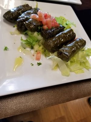 Flavorful grape leaves at Kabab-G in Peoria