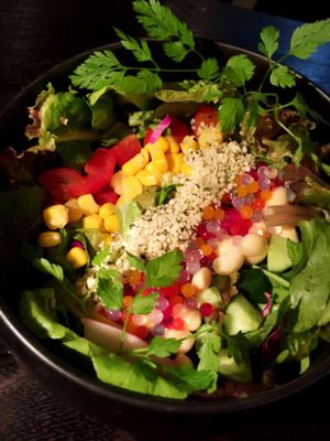 GAUDI's SALAD at Hang Out in Tokyo