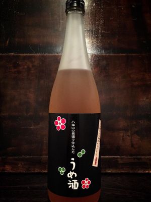 japnese ume sake at Hang Out in Tokyo