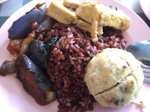 Brown rice and pre cooked dishes at Xing Hua Vegetarian 兴化美食 - Fortune Centre in Central Singapore