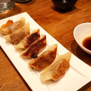 Dumplings! at Shizen Vegan Sushi Bar in San Francisco