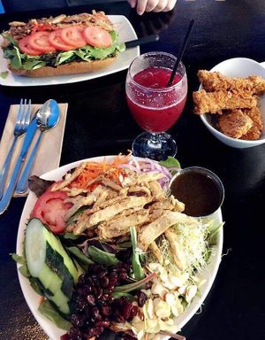 Huge servings! at Vegan Galaxy in Huntington Beach