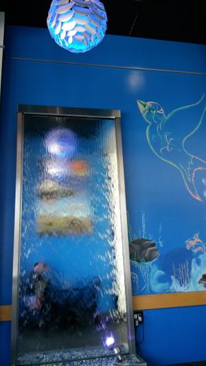 water fountain at Vegan Galaxy in Huntington Beach