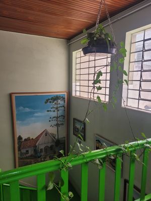  at Super Vegetariano in Curitiba