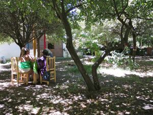 In the garden of Madre Vida  Rivadavia 1806 at Madre Vida in El Bolson