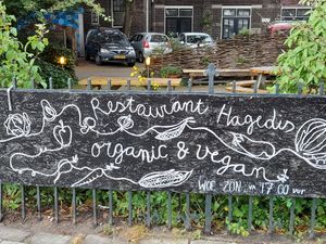 lovely setting at Hagedis in The Hague