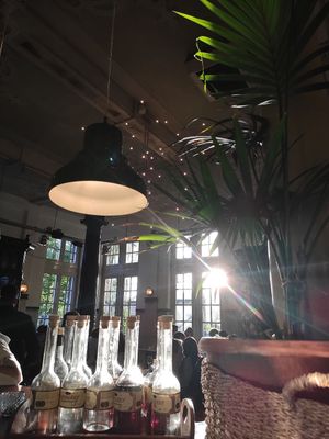  at Hagedis in The Hague