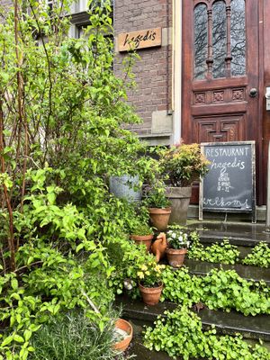 Green  at Hagedis in The Hague