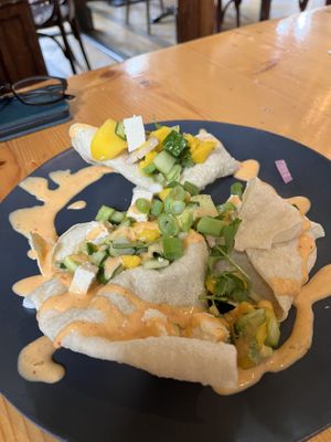 Starter  at Hagedis in The Hague