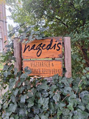  at Hagedis in The Hague