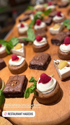  at Hagedis in The Hague