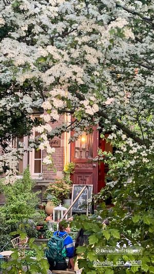  at Hagedis in The Hague