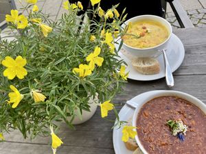 table at organics - Naturkost am Dom in Erfurt