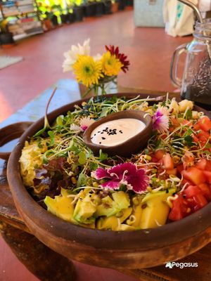  at Shantaram Raw in Arambol