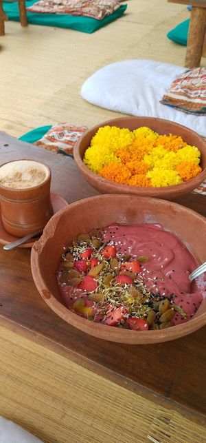 Avocado moringa smoothie bowl at Shantaram Raw in Arambol