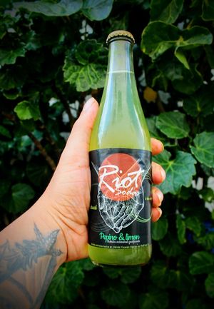 Soda Riot at Rincon Veganx in Merida