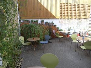 The Larder Bethnal Green - Courtyard garden in the Spring at The Larder in East London