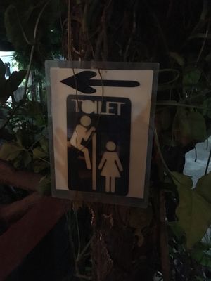 DON'T YOU THINK THIS IS WRONG? at Pyramid Cafe and Guest House in Rishikesh