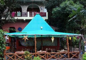 Pyramid-Cafe and Guest House, Rishikesh, India.
Quite location under the trees, away from the busy and noisy market of Laxmanjhula.
Widest music collection in town. at Pyramid Cafe and Guest House in Rishikesh