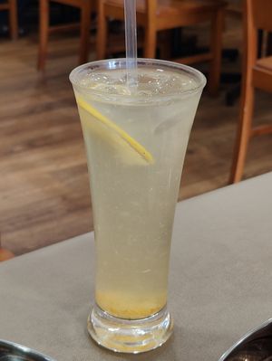  at Udipi Ganesh Vilas in Central Singapore