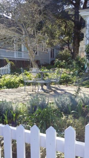 A peek into the Gorgeous Grounds at Muir's Tea Room in Sebastopol