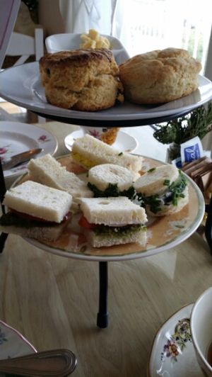 Tea Scones and Finger Sandwiches! at Muir's Tea Room in Sebastopol