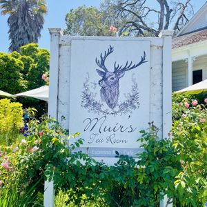 Vegan tea service inside 🫖  at Muir's Tea Room in Sebastopol