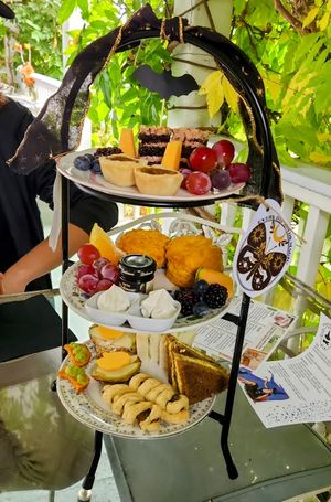  at Muir's Tea Room in Sebastopol