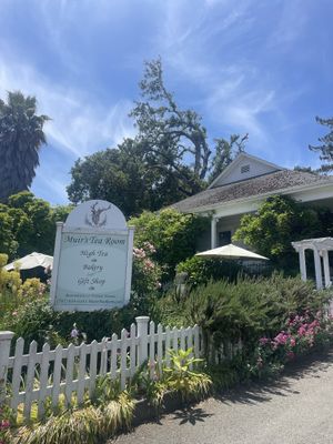   at Muir's Tea Room in Sebastopol