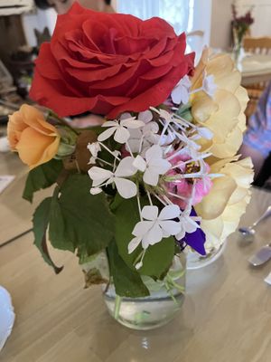   at Muir's Tea Room in Sebastopol