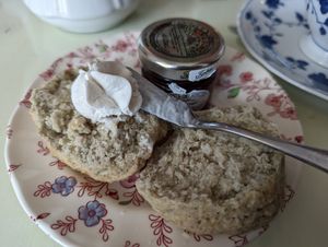 Vegan clotted cream and jam with scone at Muir's Tea Room in Sebastopol