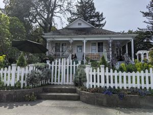  at Muir's Tea Room in Sebastopol