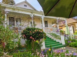  at Muir's Tea Room in Sebastopol