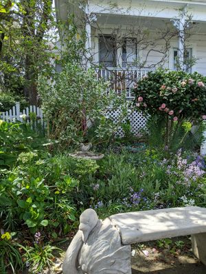  at Muir's Tea Room in Sebastopol