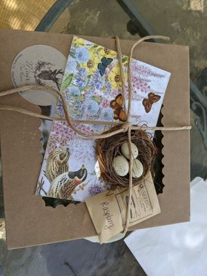  at Muir's Tea Room in Sebastopol