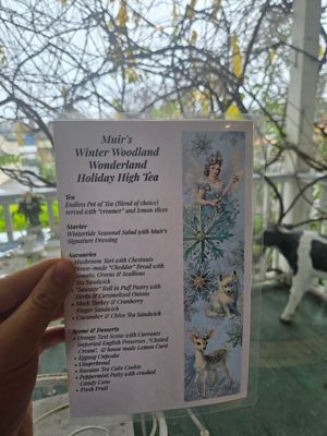  at Muir's Tea Room in Sebastopol